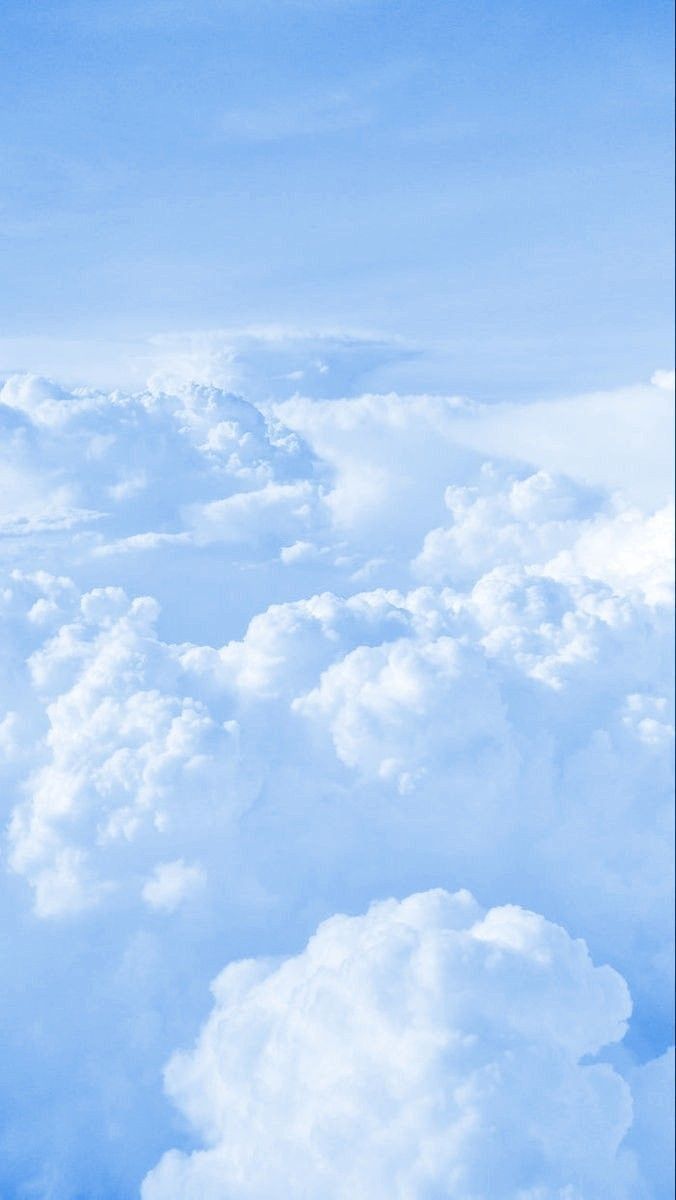 Profile Banner