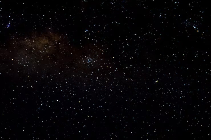 Profile Banner